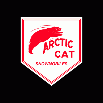 Arctic Cat Bear