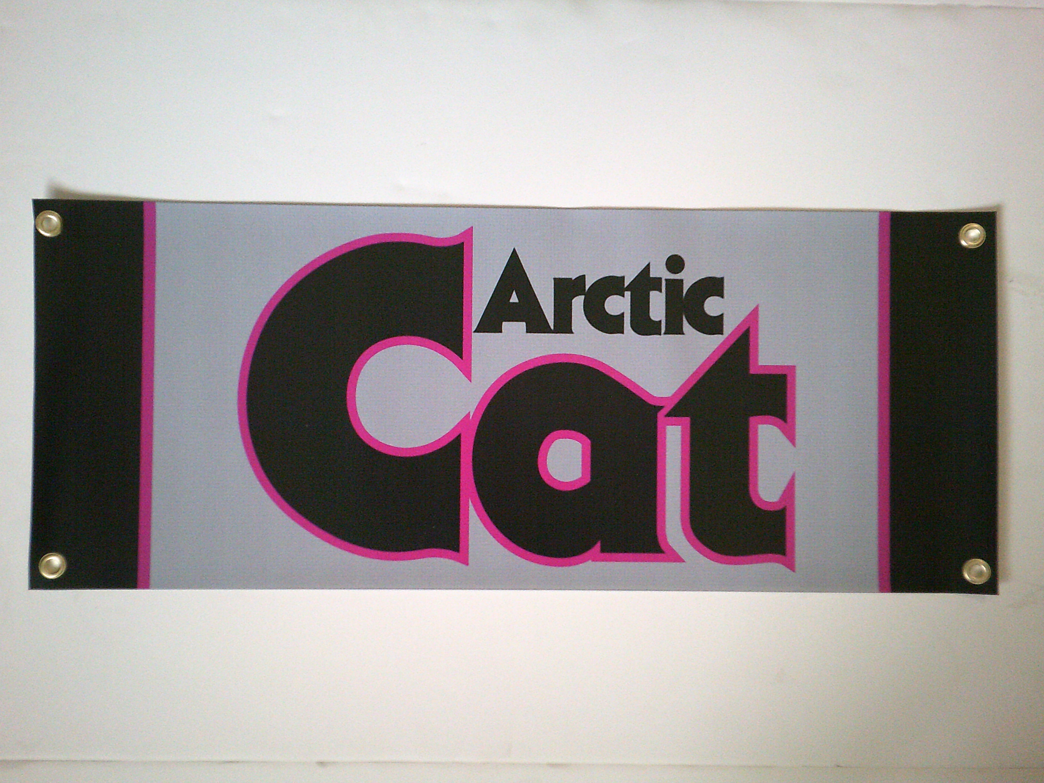 Arctic Cat Purple 