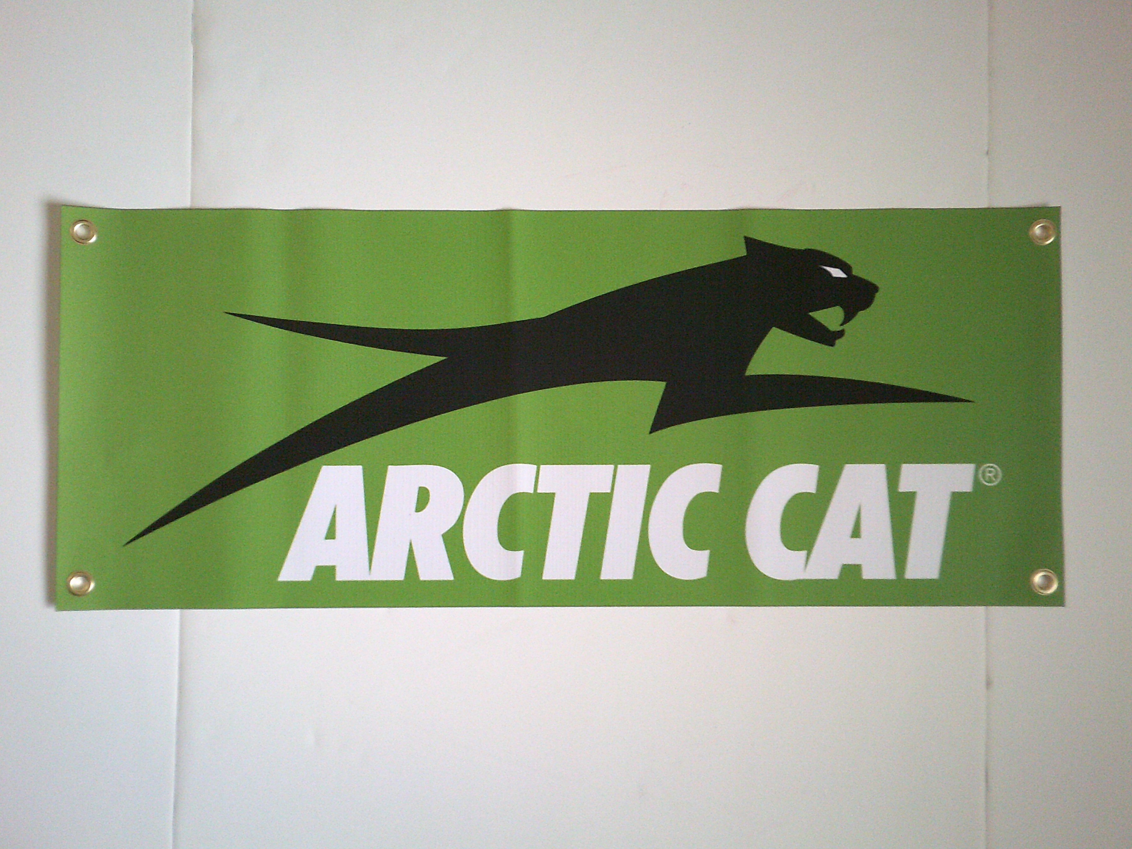 Arctic Cat Jumping Cat