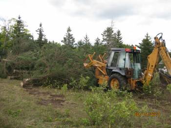 Clearing the Land