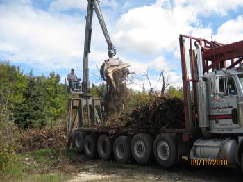 Hamill Trucking hauls the stumps